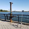 New El Barrio Bait Station Could Be 'A Prototype For Waterfronts Around The City'